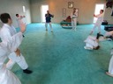 Aikido Aug13-08