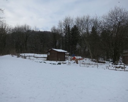 Mittagessen im Gartenhaus Januar 20131